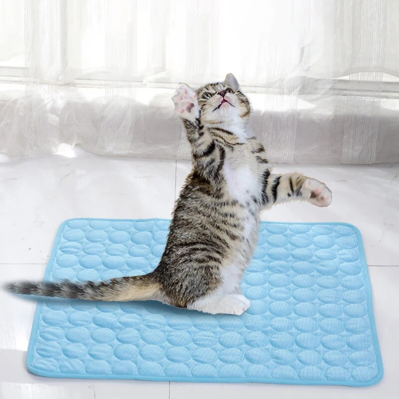 Pet esteiras de gelo verão gat - Cooling Blanket Hot Sleepers avaliação e preço